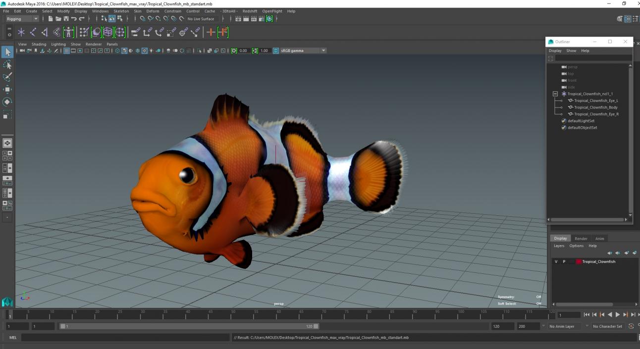 3D Tropical Clownfish model