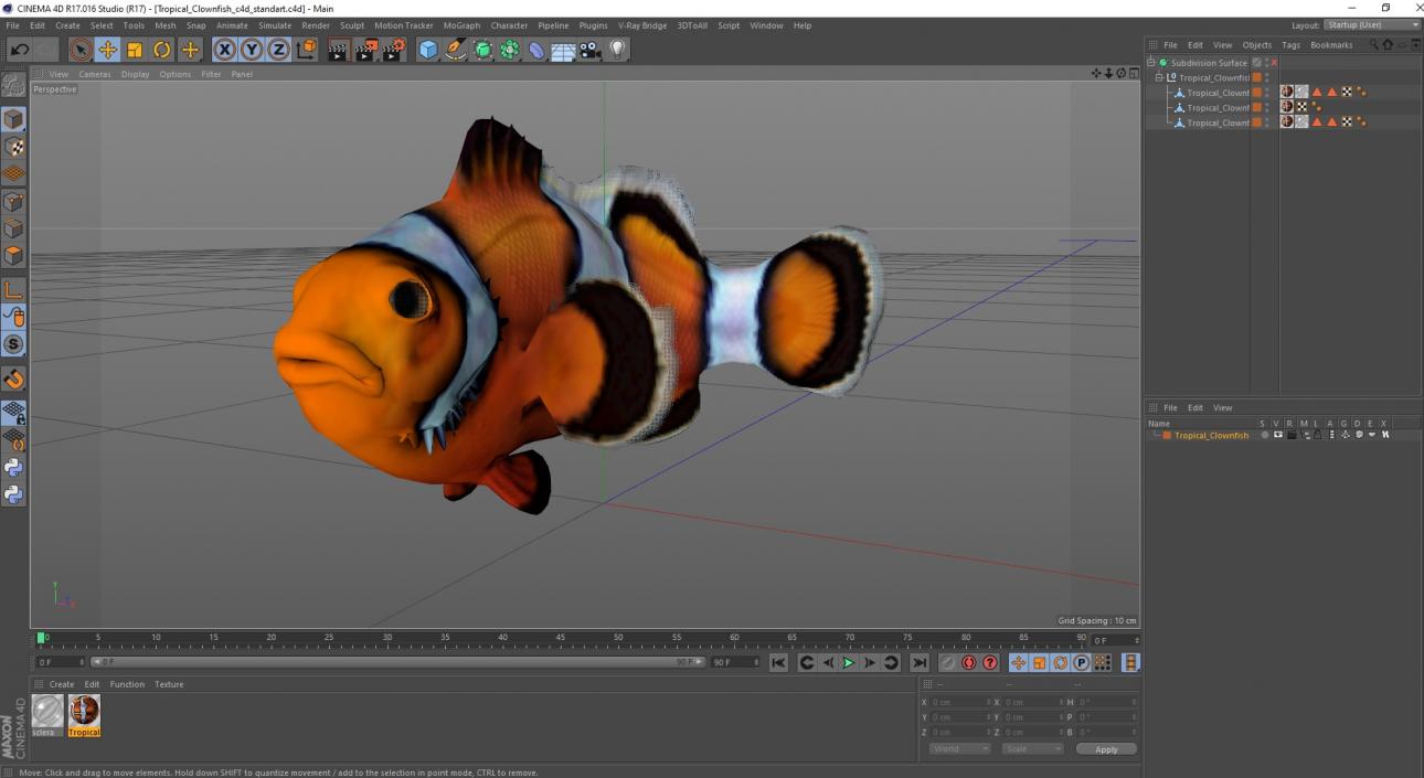 3D Tropical Clownfish model