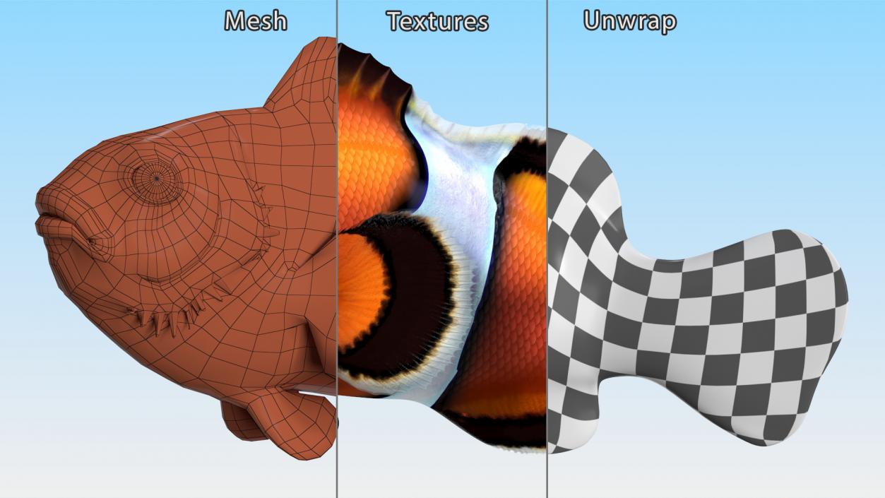 3D Tropical Clownfish model