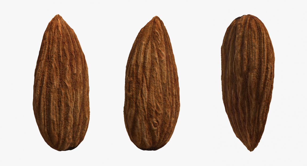 3D model Almond