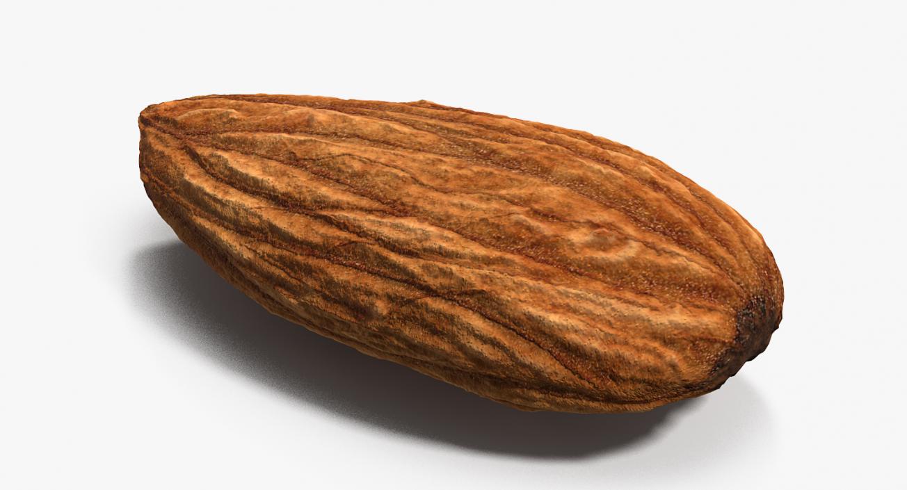 3D model Almond