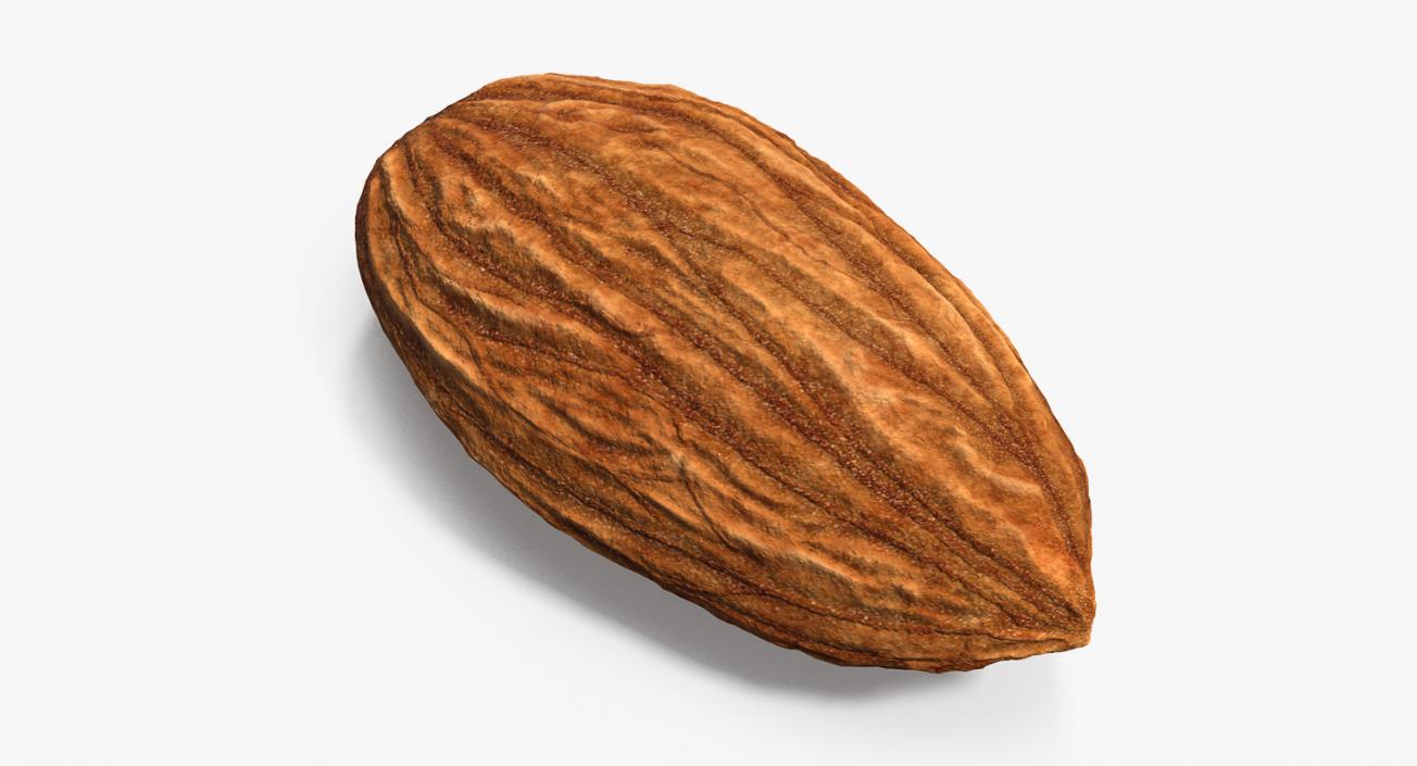 3D model Almond