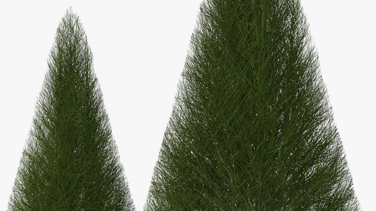 3D model Pyramidal Bare Shrub