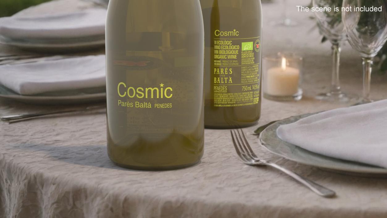 3D model Cosmic Pares Balta Wine Bottle