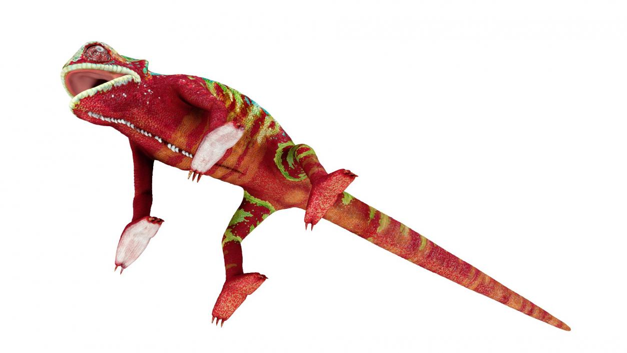 3D Chameleon Red model