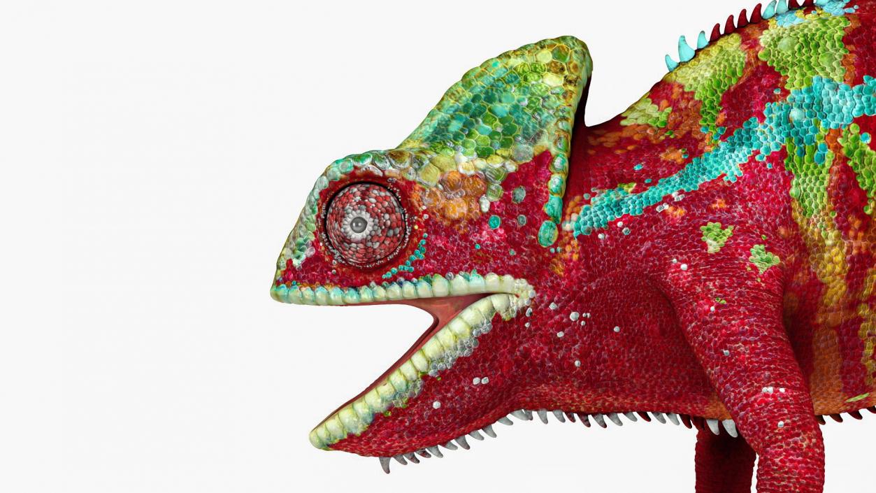 3D Chameleon Red model