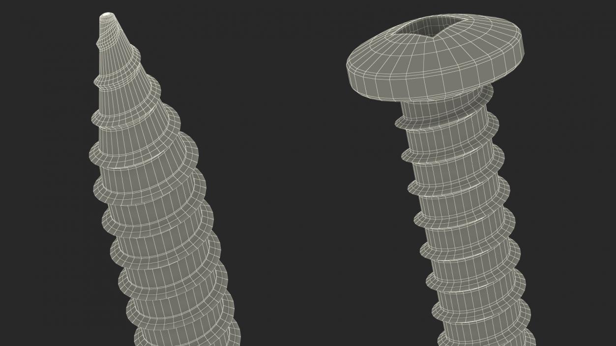 Sheet Metal Screw 2 3D model