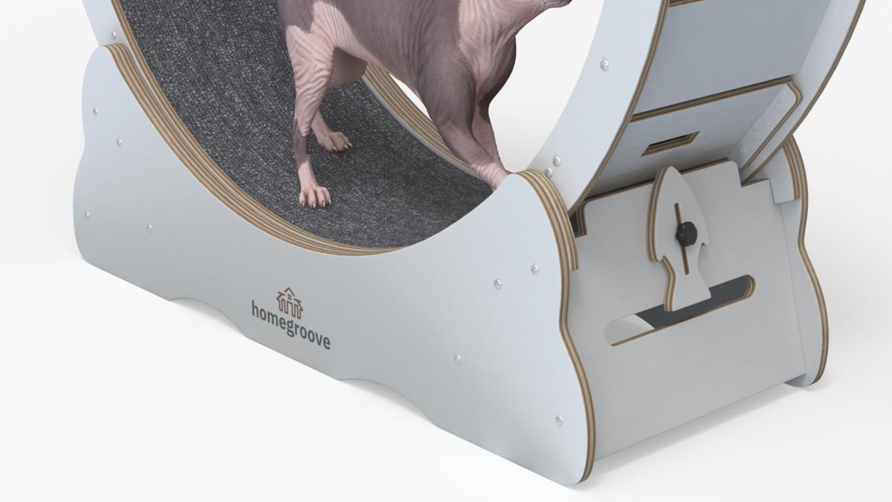 Sphynx Cat on Homegroove Exercise Wheel 3D model