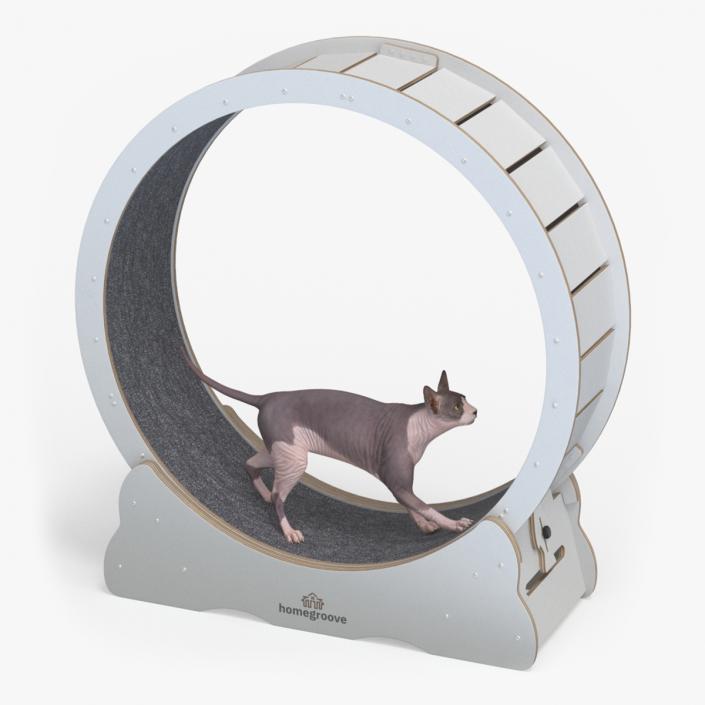 Sphynx Cat on Homegroove Exercise Wheel 3D model