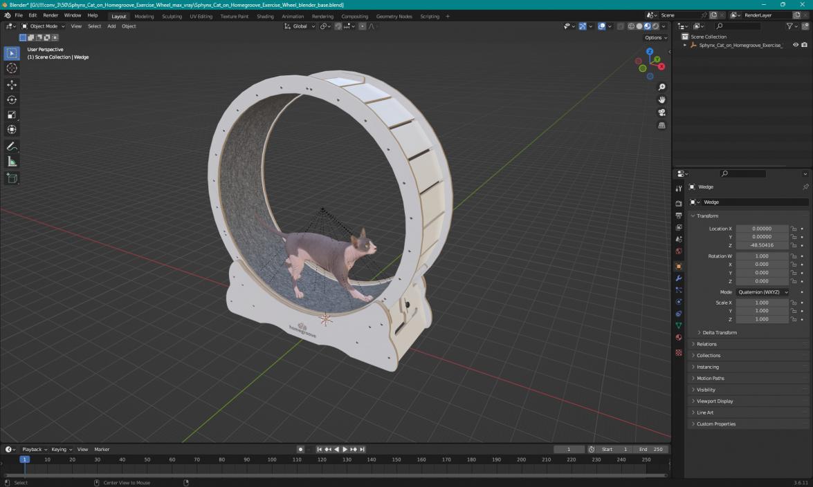 Sphynx Cat on Homegroove Exercise Wheel 3D model