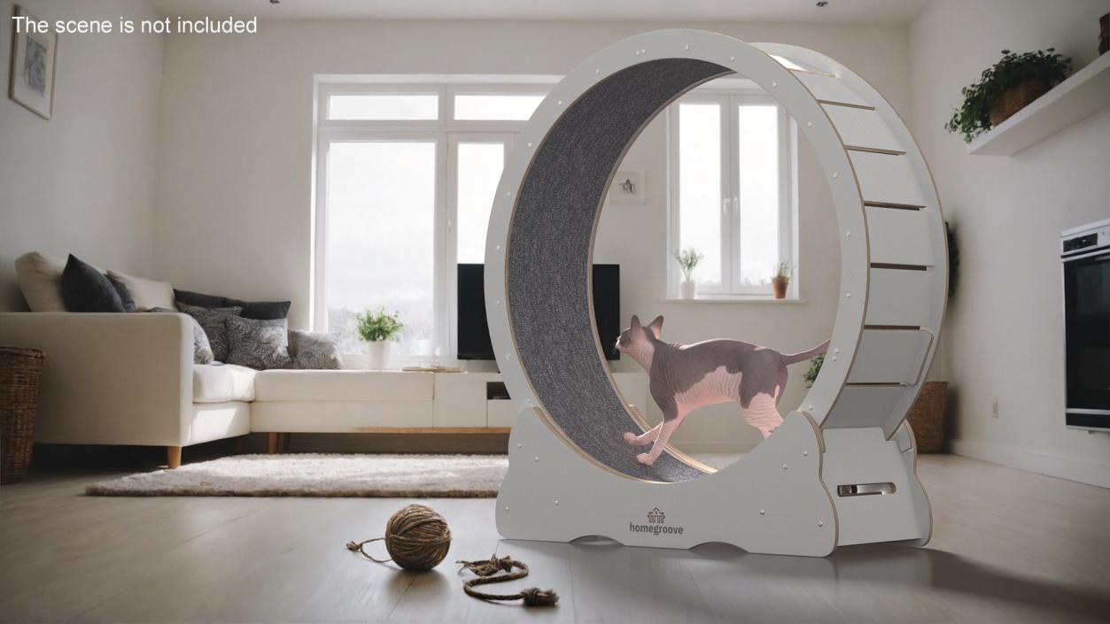 Sphynx Cat on Homegroove Exercise Wheel 3D model