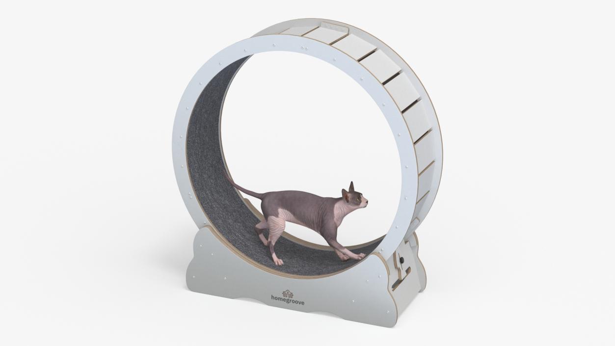 Sphynx Cat on Homegroove Exercise Wheel 3D model