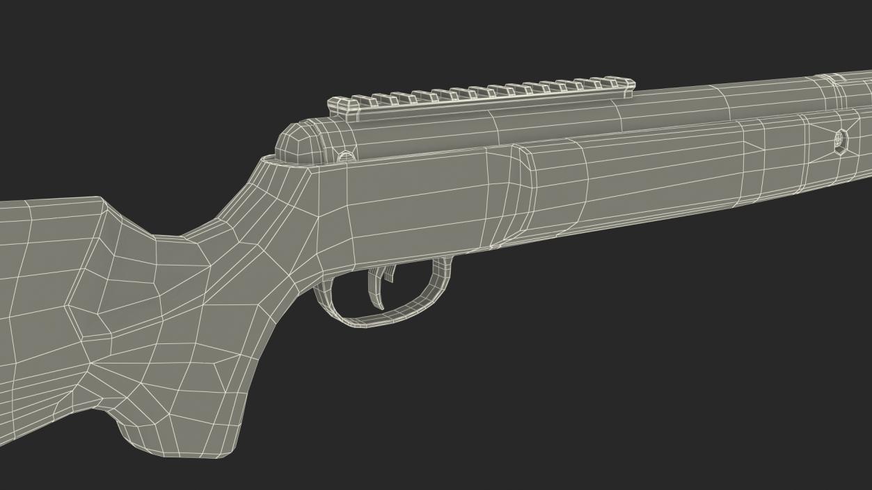 Crosman Air Rifle 3D