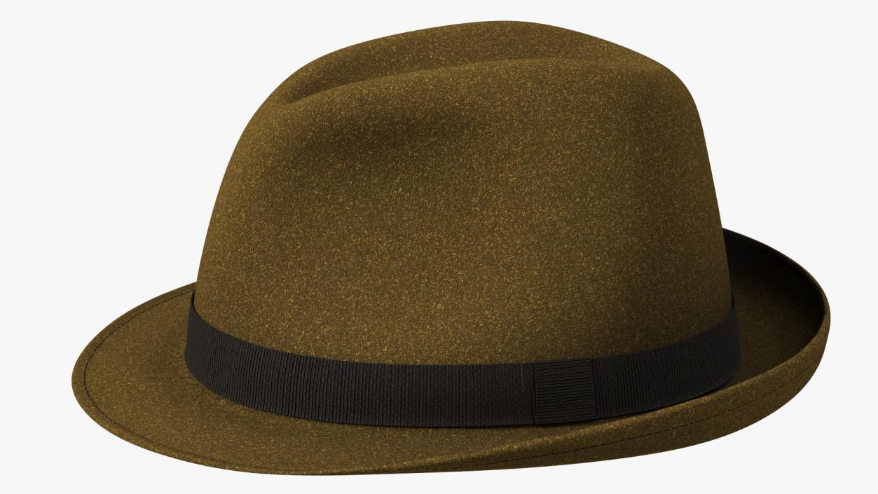 Brown Fedora 3D