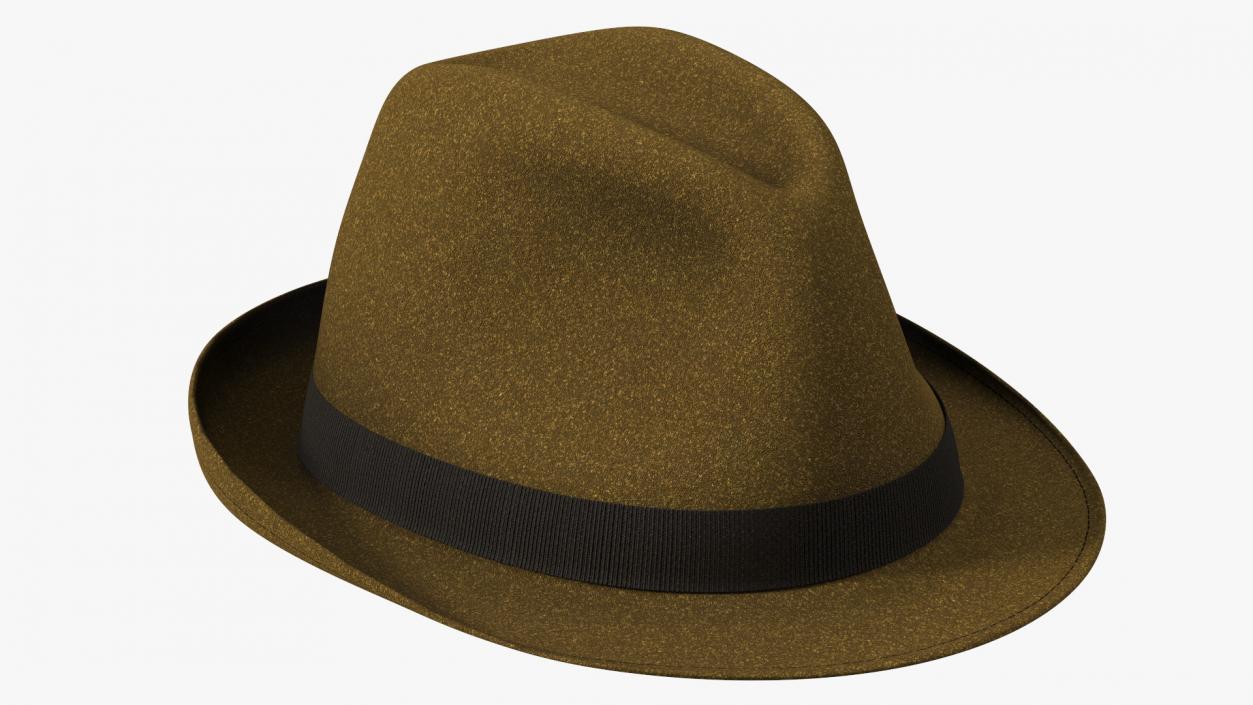 Brown Fedora 3D