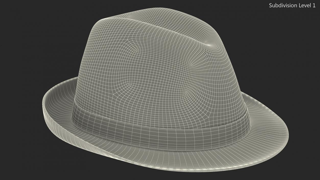 Brown Fedora 3D