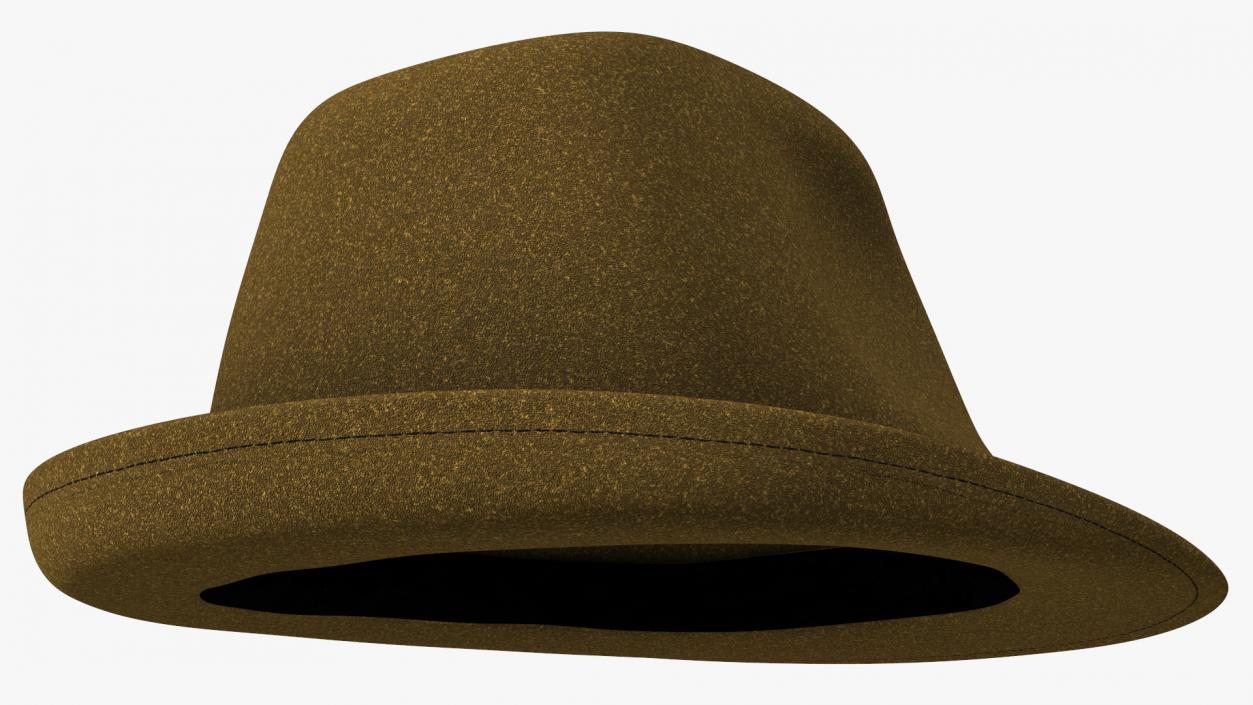 Brown Fedora 3D