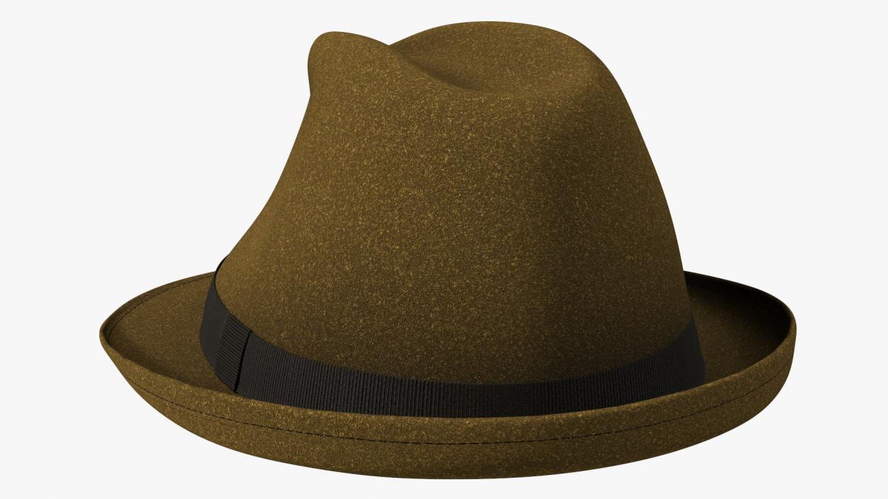 Brown Fedora 3D