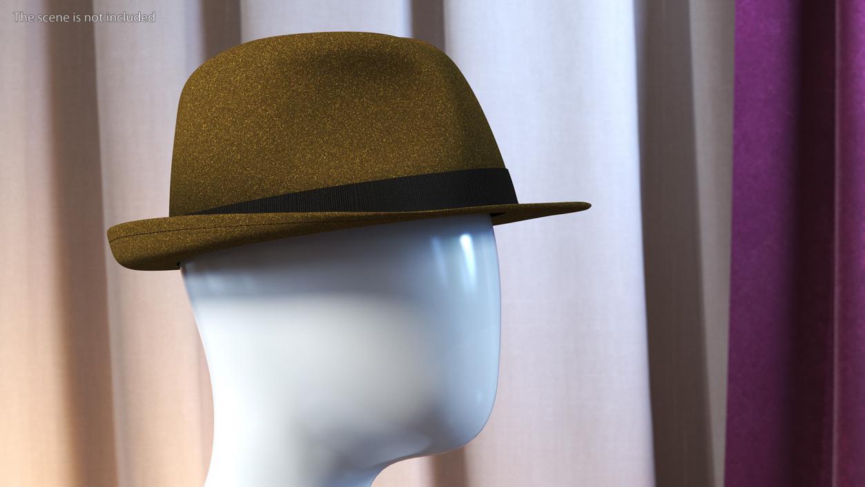 Brown Fedora 3D