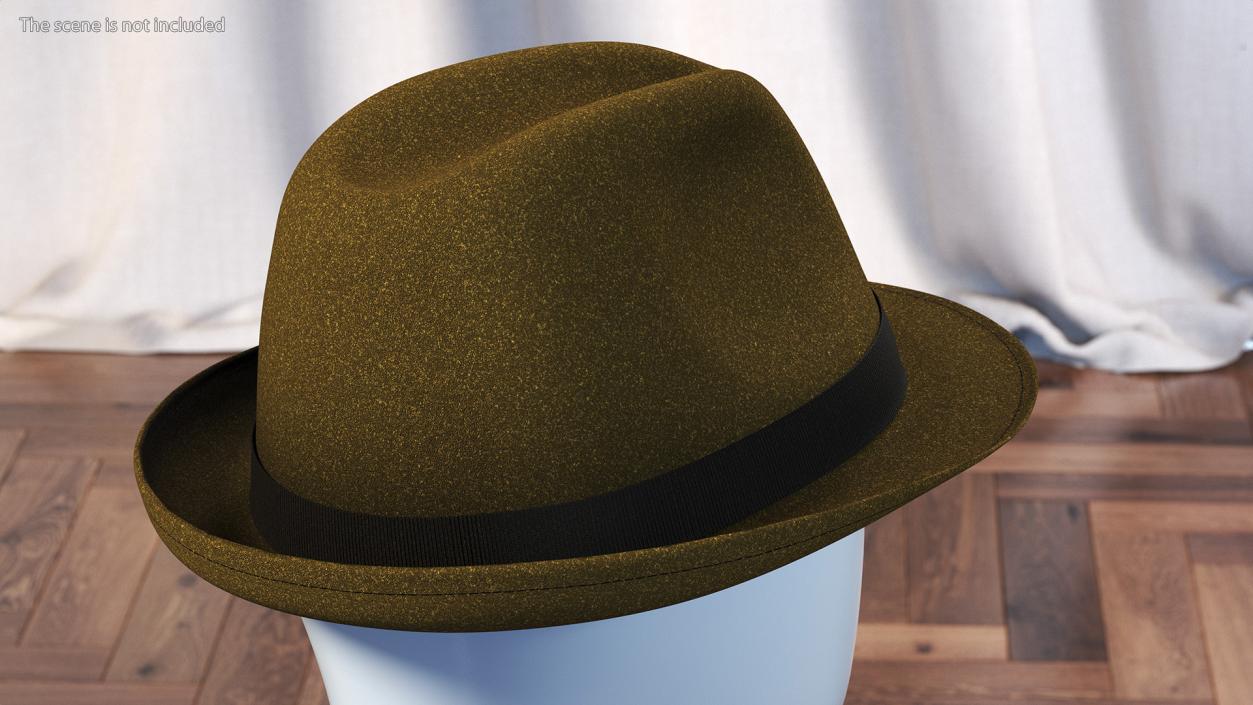 Brown Fedora 3D