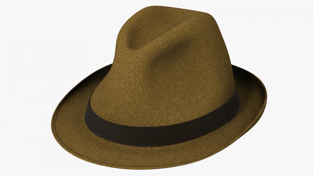 Brown Fedora 3D