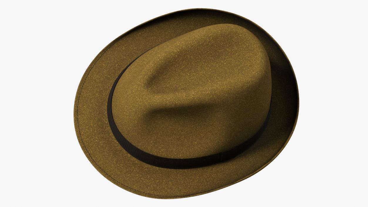 Brown Fedora 3D