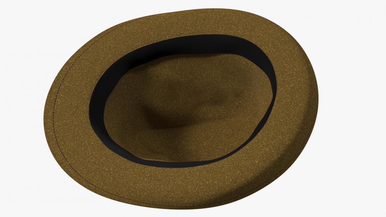 Brown Fedora 3D