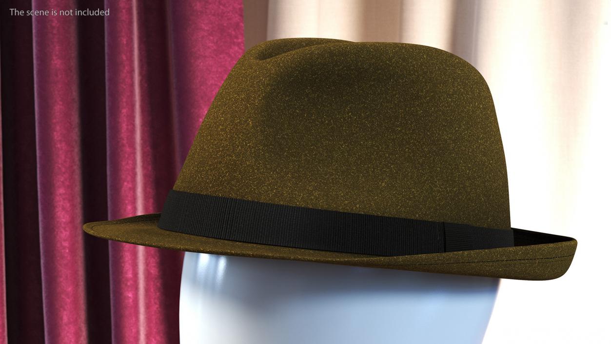 Brown Fedora 3D