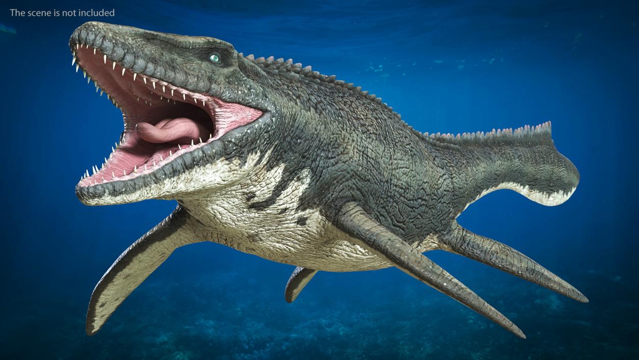 3D Mosasaurus Rigged for Maya