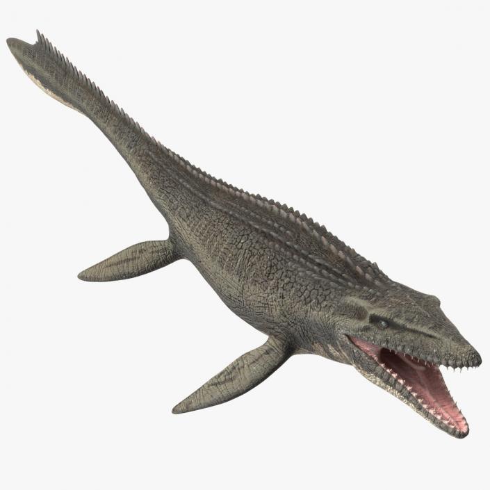 3D Mosasaurus Rigged for Modo