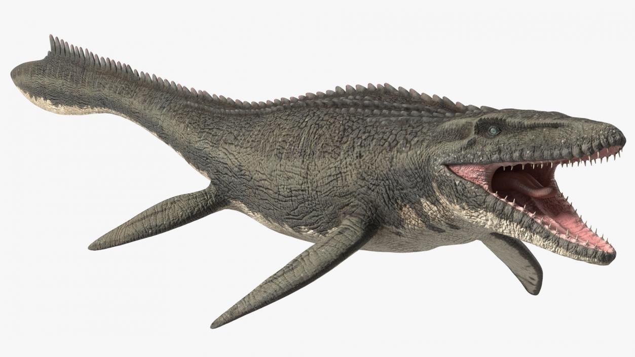 3D Mosasaurus Rigged for Maya