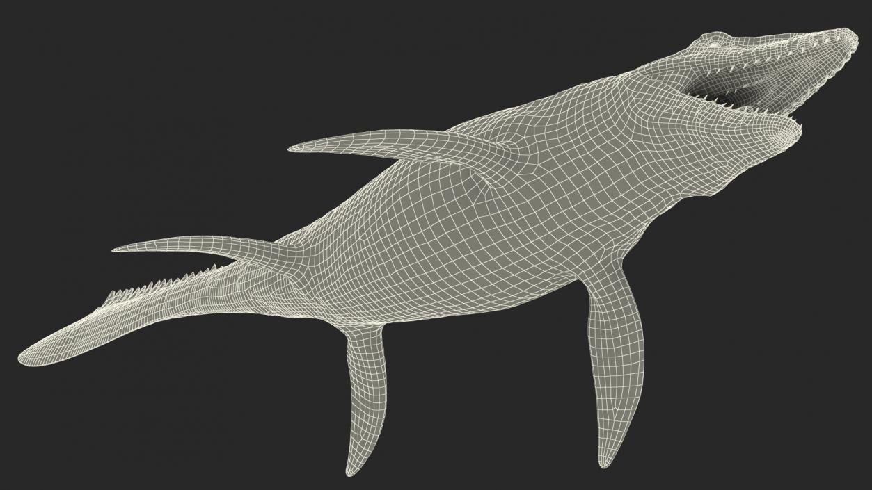 3D Mosasaurus Rigged for Maya