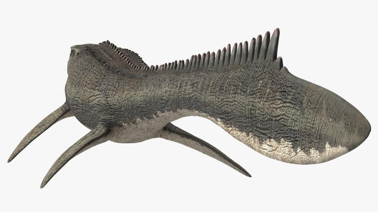 3D Mosasaurus Rigged for Maya