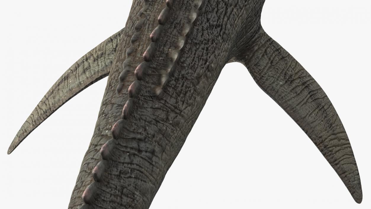 3D Mosasaurus Rigged for Maya