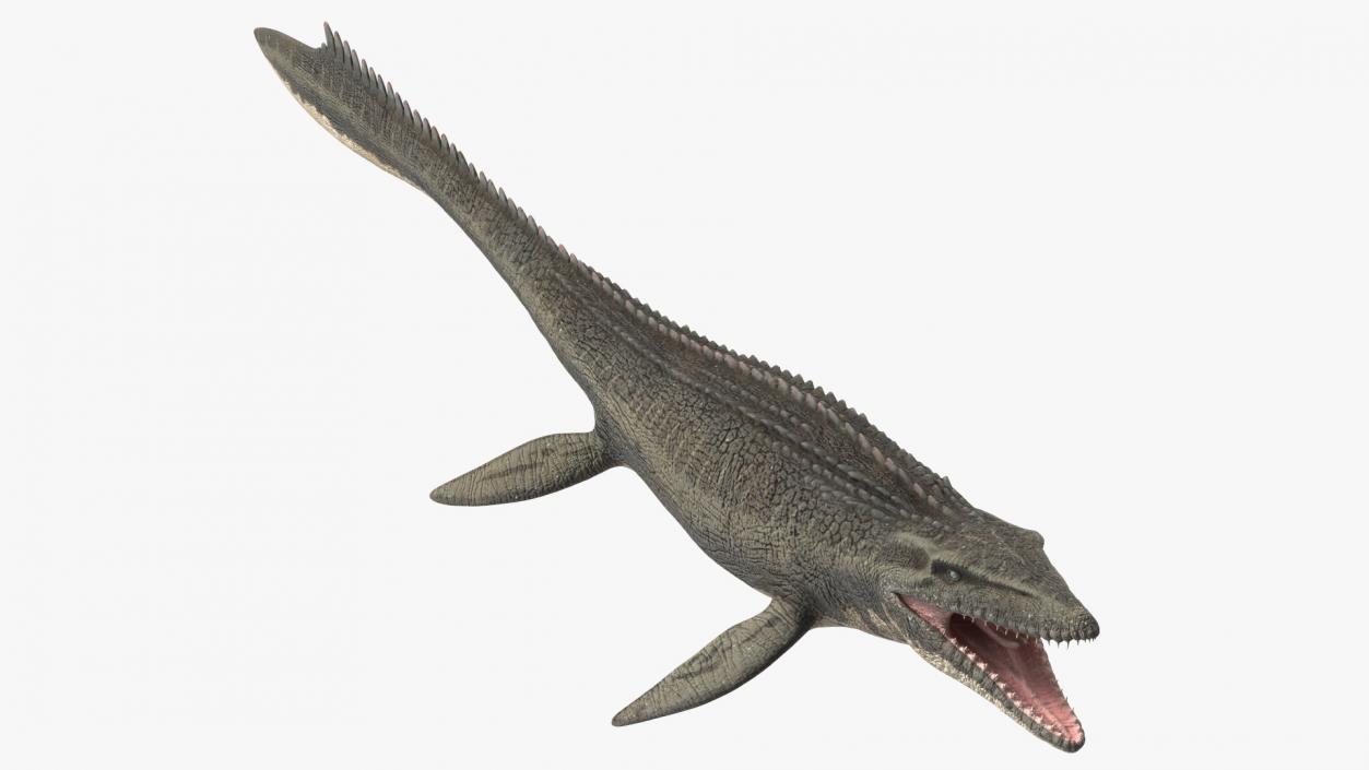 Mosasaurus Rigged 3D