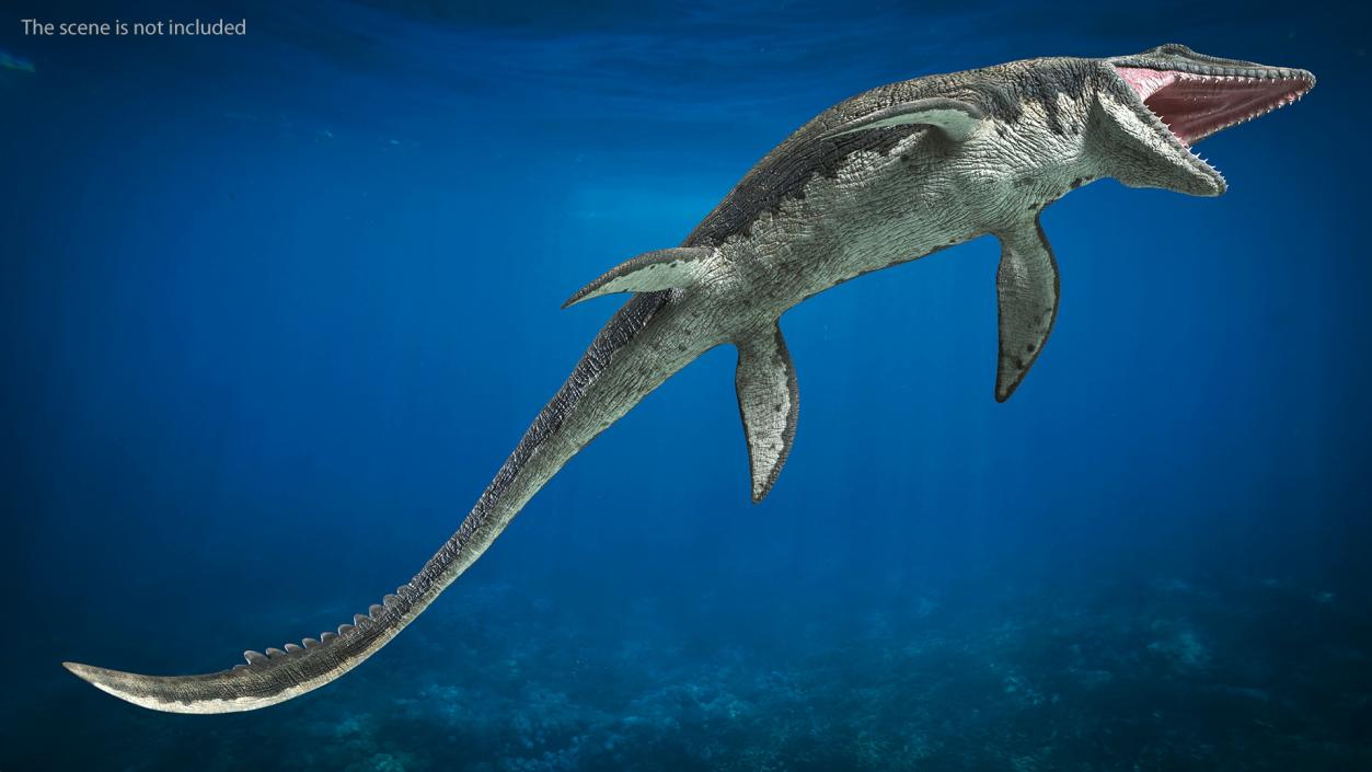 3D Mosasaurus Rigged for Maya