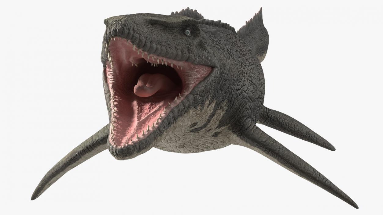 Mosasaurus Rigged 3D