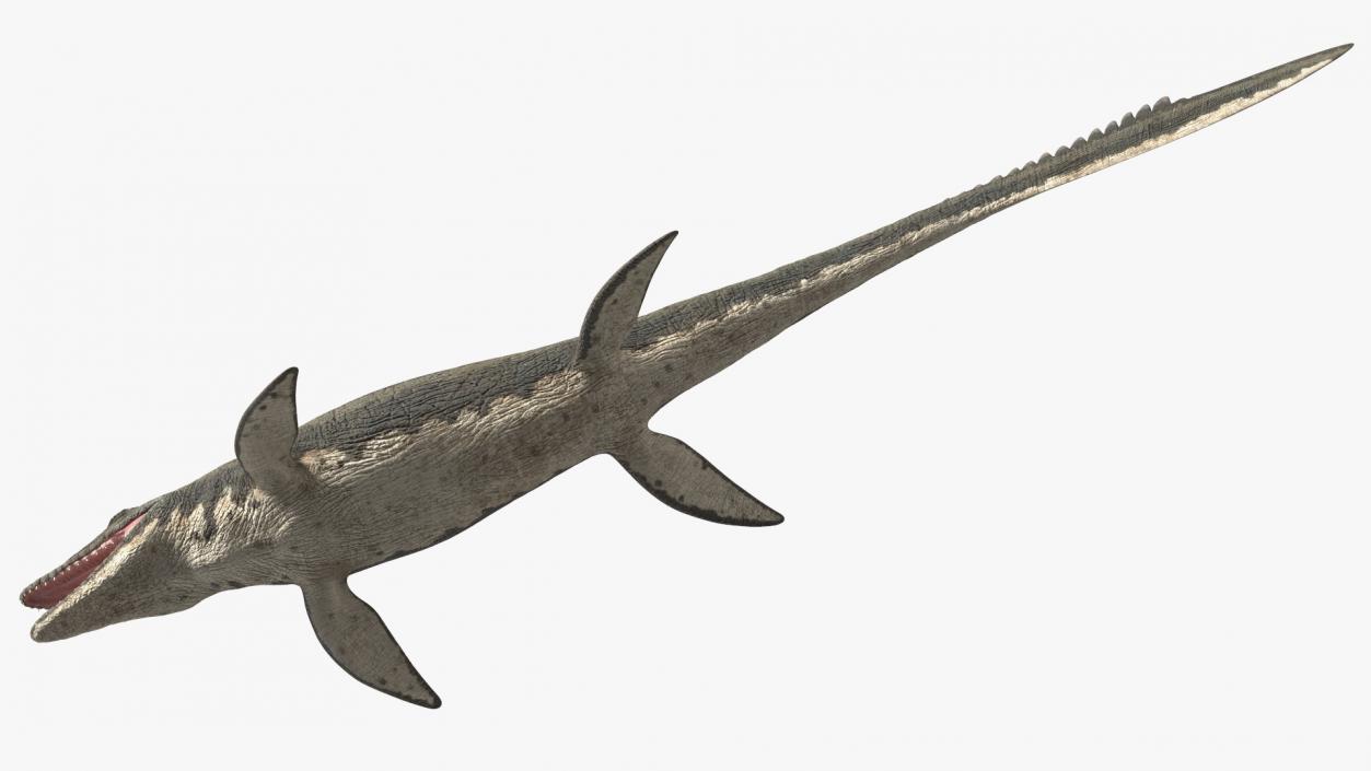 3D Mosasaurus Rigged for Modo