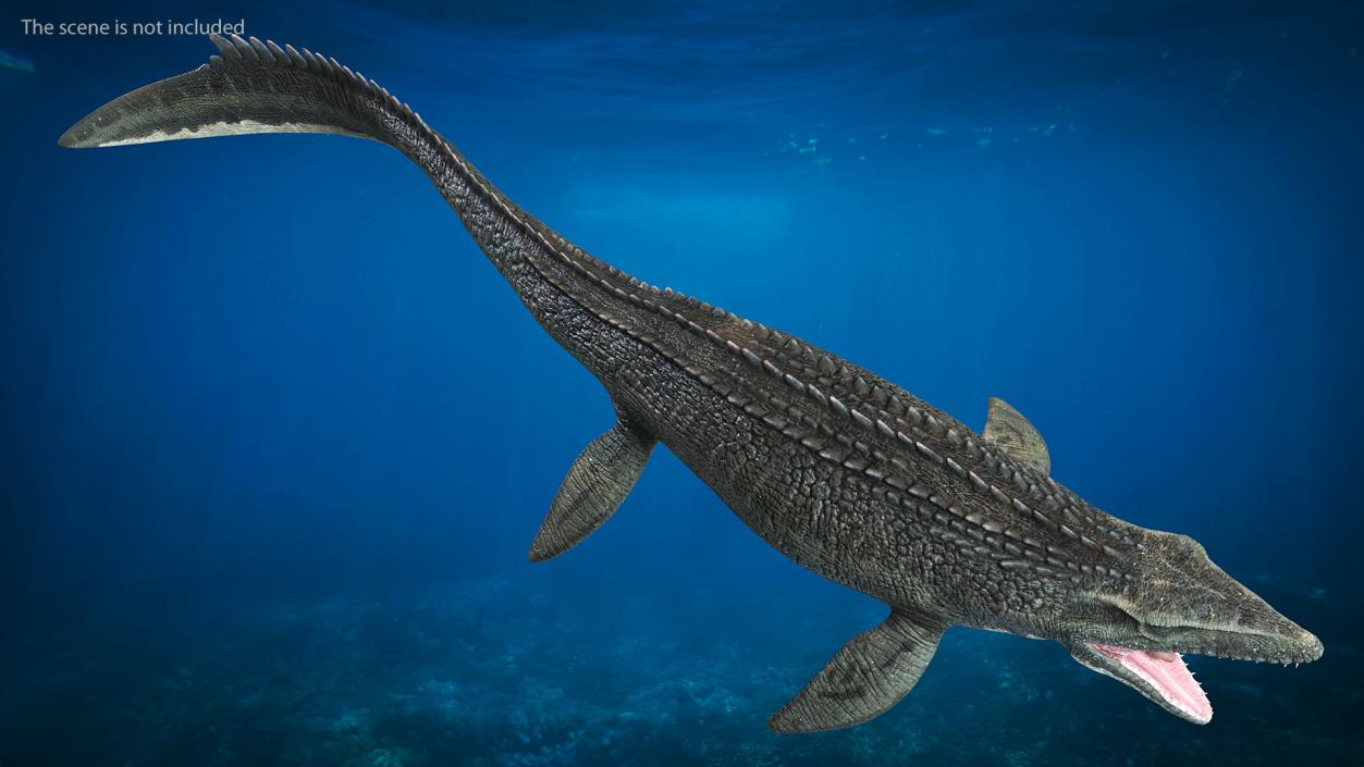 3D Mosasaurus Rigged for Maya