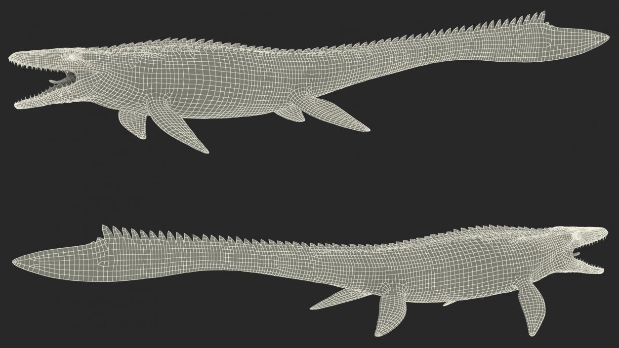 3D Mosasaurus Rigged for Maya