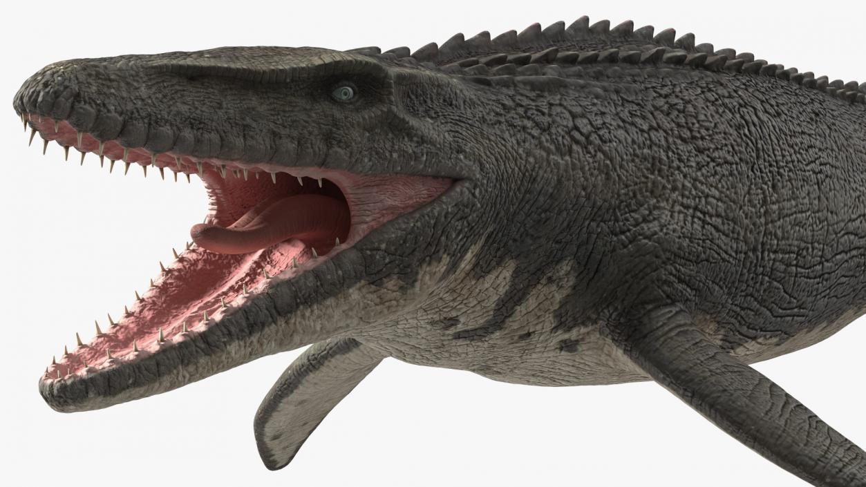 3D Mosasaurus Rigged for Maya