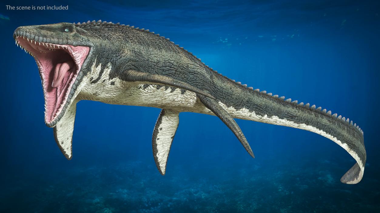 3D Mosasaurus Rigged for Maya