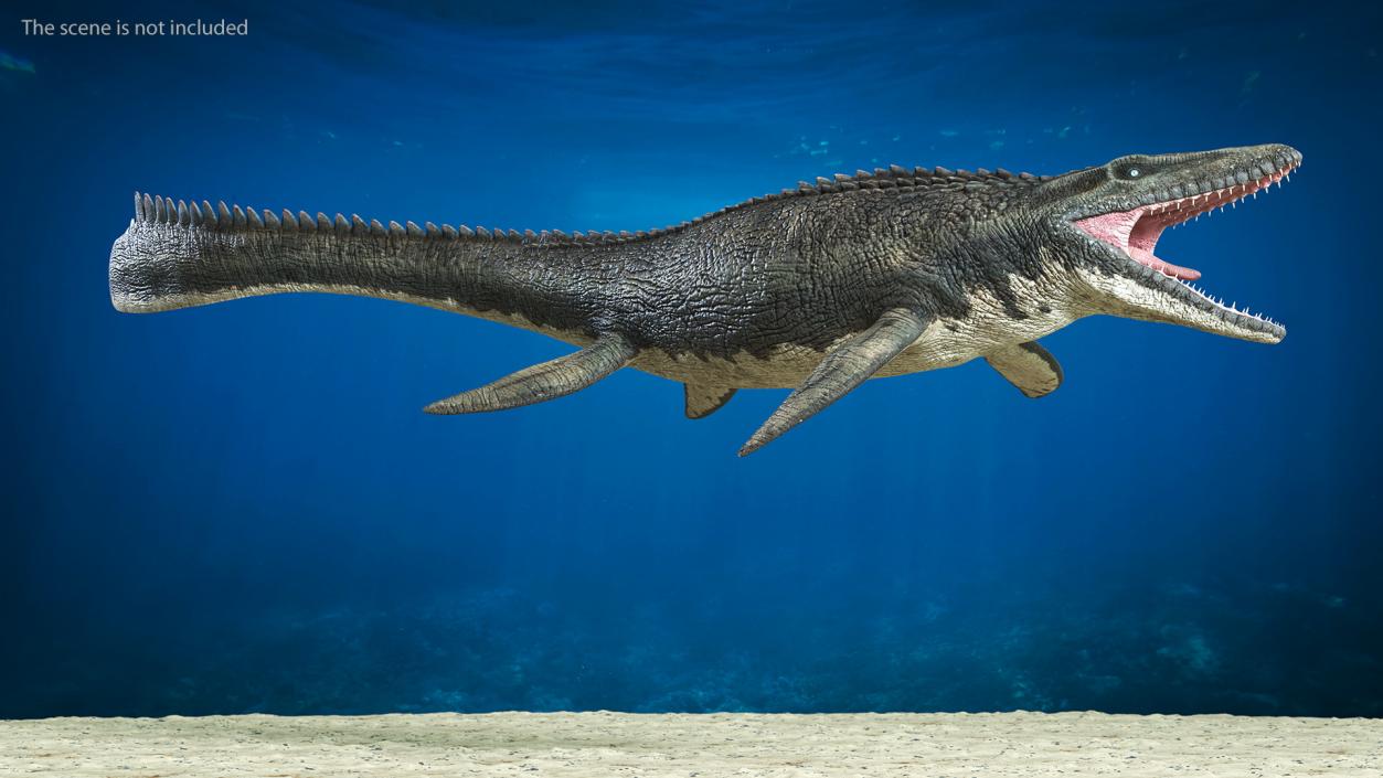 3D Mosasaurus Rigged for Maya