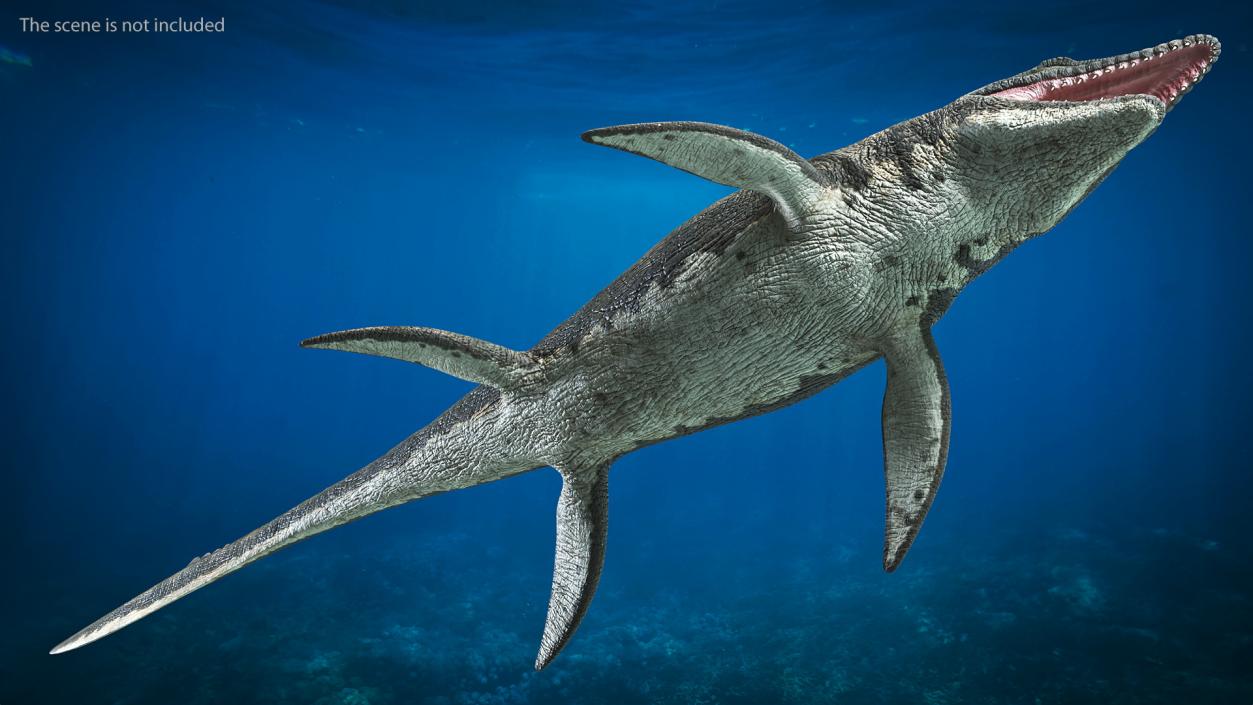 3D Mosasaurus Rigged for Maya