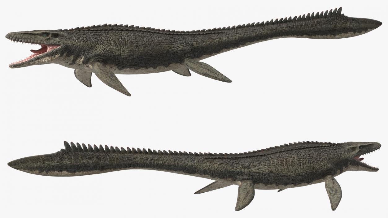 3D Mosasaurus Rigged for Maya