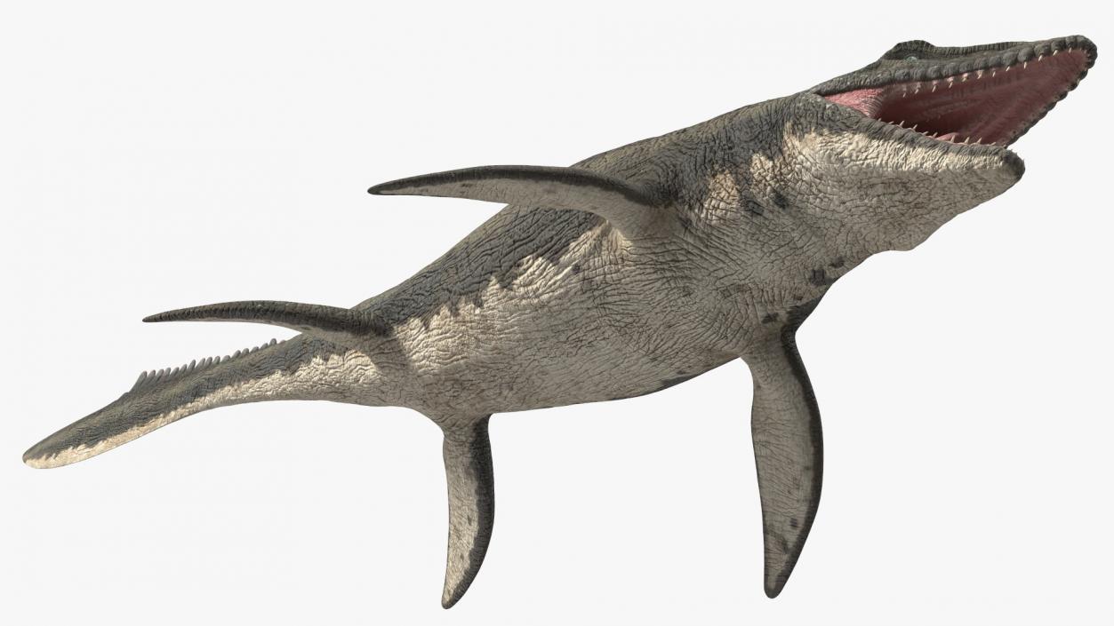 3D Mosasaurus Rigged for Maya