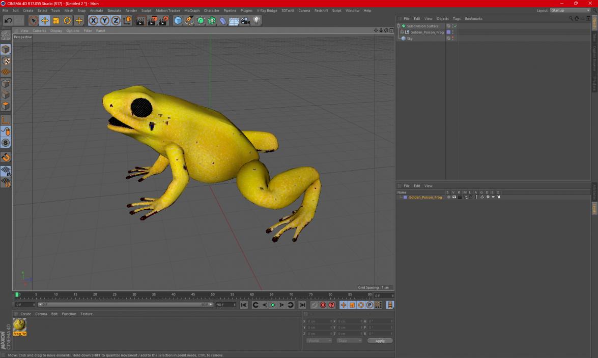 3D Golden Poison Frog model