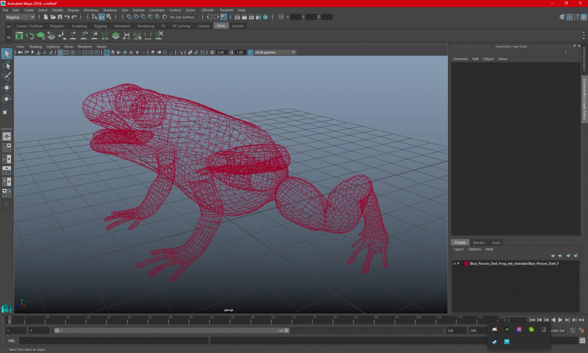 3D Golden Poison Frog model