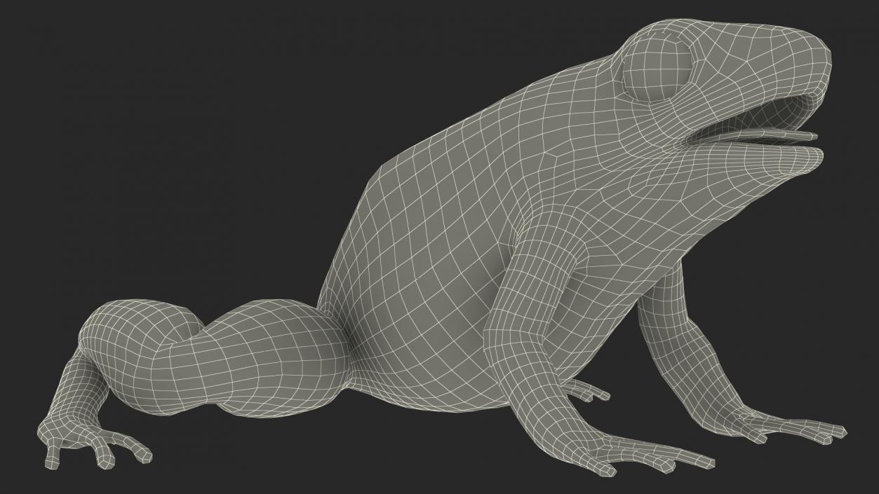 3D Golden Poison Frog model