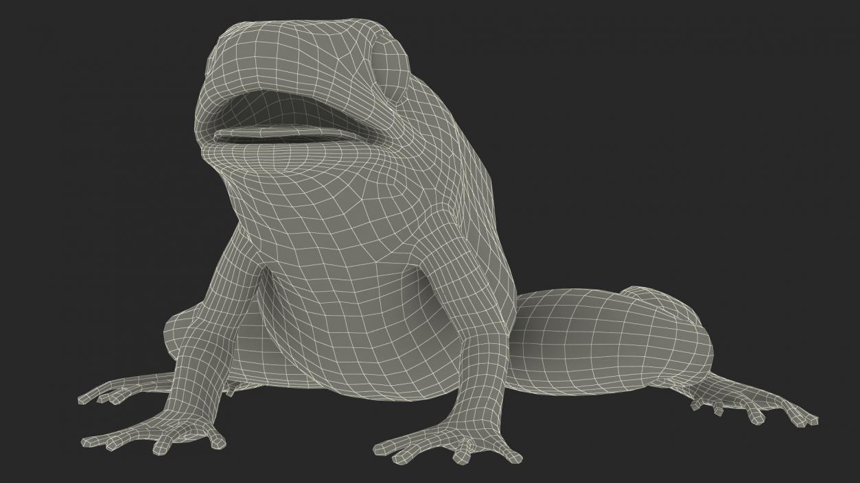 3D Golden Poison Frog model